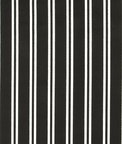 Premier Prints Outdoor Parker Matte Black Fabric