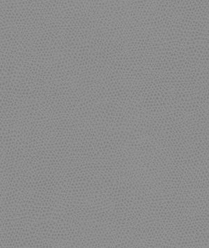 Kravet Ophidian Dolphin Fabric