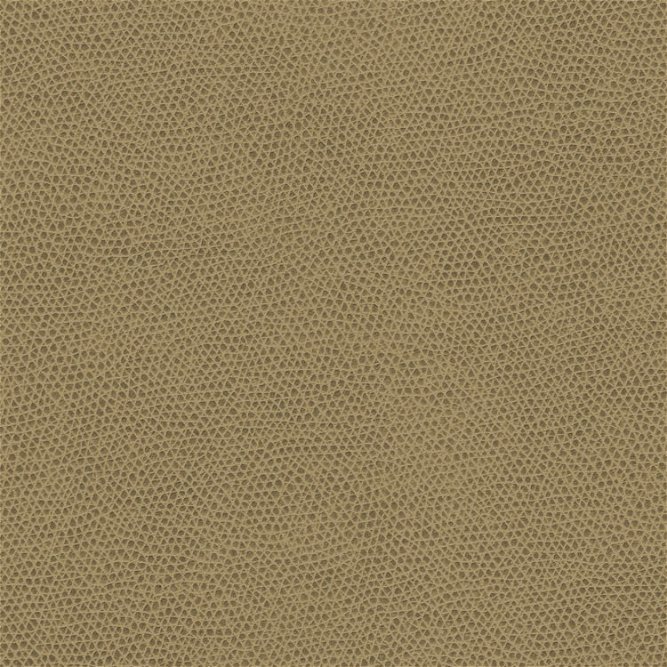 Kravet Ophidian Wheat Fabric