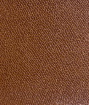 Kravet Ophidian Saddle Fabric