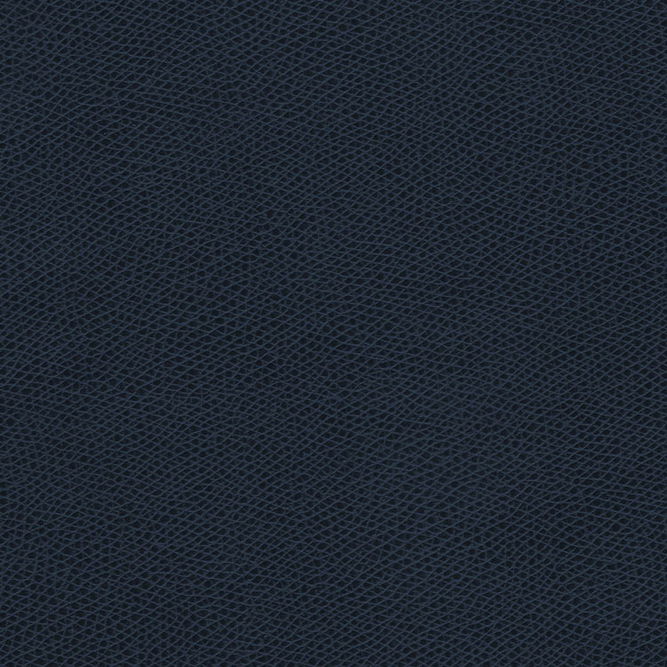 Kravet Ophidian Midnight Fabric