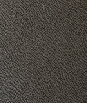 Kravet Ophidian Charcoal Fabric