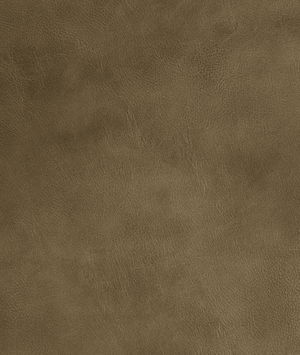 Mitchell Ez-Kleen™ Oracle Ash Vinyl
