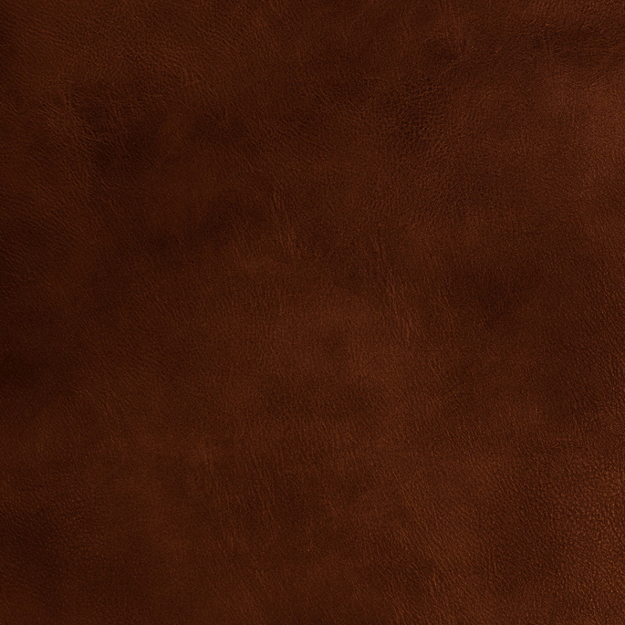 Mitchell Ez-Kleen™ Oracle Beaver Vinyl image 1 of 1