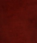 Mitchell Ez-Kleen™ Oracle Claret Vinyl