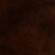 Mitchell Ez-Kleen™ Oracle Clove Vinyl