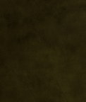 Mitchell Ez-Kleen™ Oracle Olive Vinyl