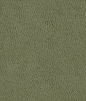 Kravet OSSY.11 Fabric