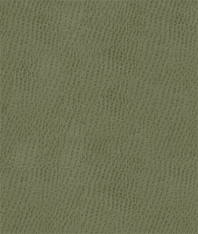 Kravet OSSY.11 Fabric