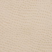 Kravet OSSY.16 Fabric