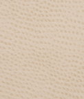 Kravet OSSY.16 Fabric