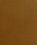 Kravet OSSY.24 Fabric