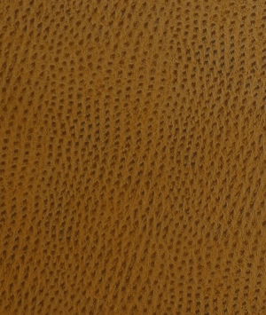 Kravet OSSY.24 Fabric