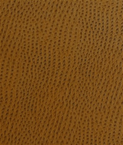 Kravet OSSY.24 Fabric