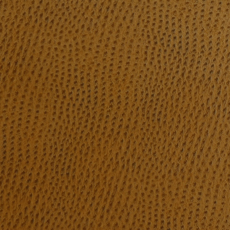 Kravet OSSY.24 Fabric