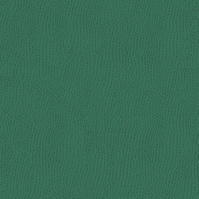 Kravet OSSY.35 Fabric