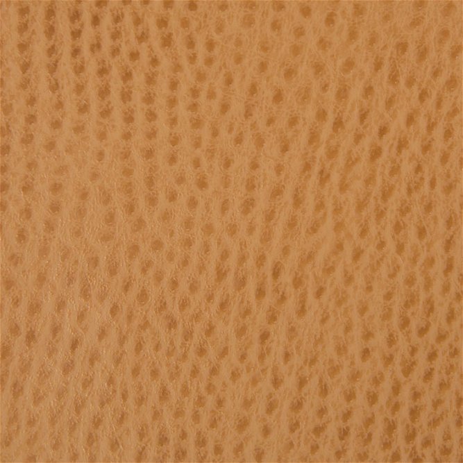 Kravet OSSY.4 Fabric