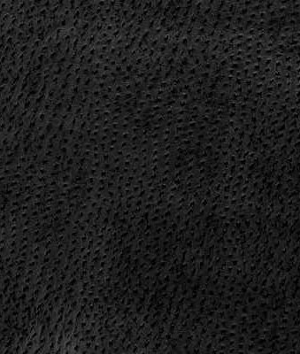 Kravet OSSY.8 Fabric