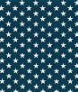 Premier Prints Outdoor Stars Oxford Fabric