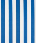 Premier Prints Outdoor Stripe Admiral Fabric