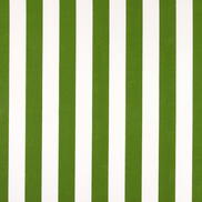 Premier Prints Outdoor Stripe Green Fabric