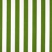 Premier Prints Outdoor Stripe Green Fabric