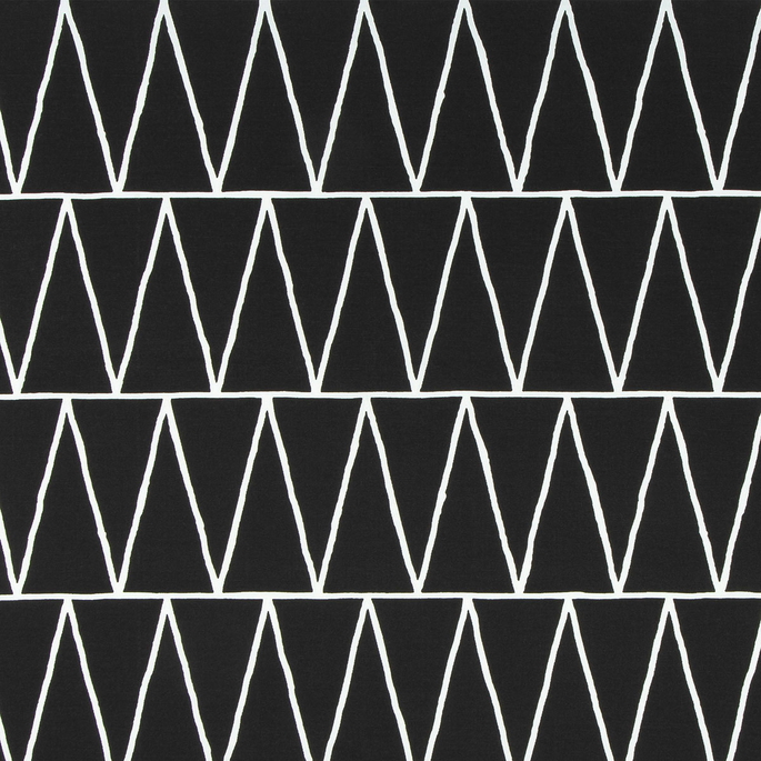 Premier Prints Outdoor Terrain Matte Black Fabric image 1 of 1