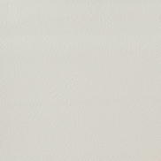 Kravet OTTO.101 Fabric
