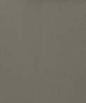 Kravet OTTO.11 Fabric