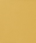Kravet OTTO.40 Fabric