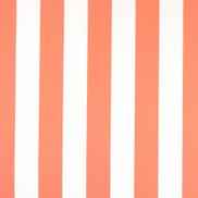 Premier Prints Outdoor Vertical Coral Fabric