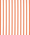 Premier Prints Outdoor Winslow Marmalade Fabric