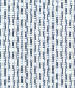 Blue & White Stripe Oxford Cloth