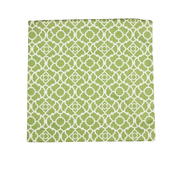 19" x 19" Lovely Lattice Green Printed Decorative Pillow Cover