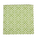 19" x 19" Lovely Lattice Green Printed Decorative Pillow Cover