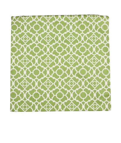 19 inch x 19 inch Lovely Lattice Green Printed Decorative Pillow Cover