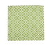 19" x 19" Lovely Lattice Green Printed Decorative Pillow Cover thumbnail image 1 of 2