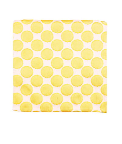 18 inch x 18 inch Well Rounded Lemongrass Decorative Pillow Cover