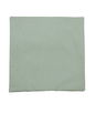 18" x 18" Oscar Mint Green Decorative Pillow Cover