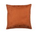 19" x 19" Lotus Amber Decorative Pillow Cover thumbnail image 2 of 2