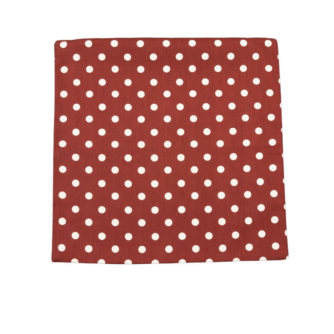 18" x 18" Red On White Polka Dot Decorative Pillow Cover image 1 of 2