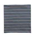 18" x 18" Dalia Stripe Blue/White Decorative Pillow Cover