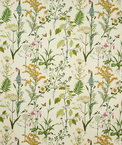 Pindler & Pindler Botany Verbena Fabric