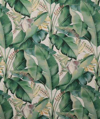 Pindler & Pindler Palma Leaf Fabric