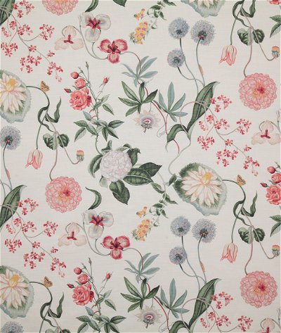 Pindler & Pindler Botanique Blossom Fabric