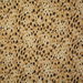 Pindler & Pindler Simba Natural Fabric