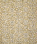 Pindler & Pindler Lowton Golden Fabric