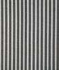 Pindler & Pindler Raybrook Noir Fabric
