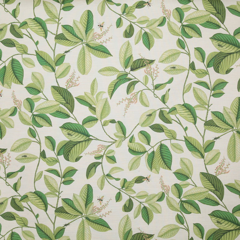 Pindler &amp; Pindler Springdale Palm Fabric