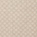 Pindler & Pindler Evienne Driftwood Fabric